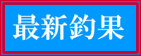 最新釣果